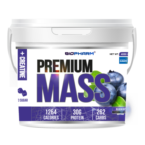 Premium Mass Gainer Черника 1020 г
